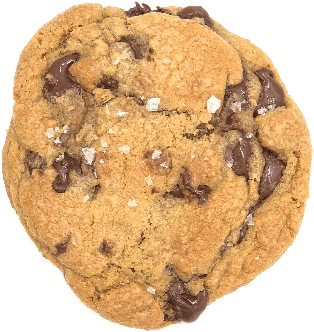 Brown Butter Chocolate Chip Cookie