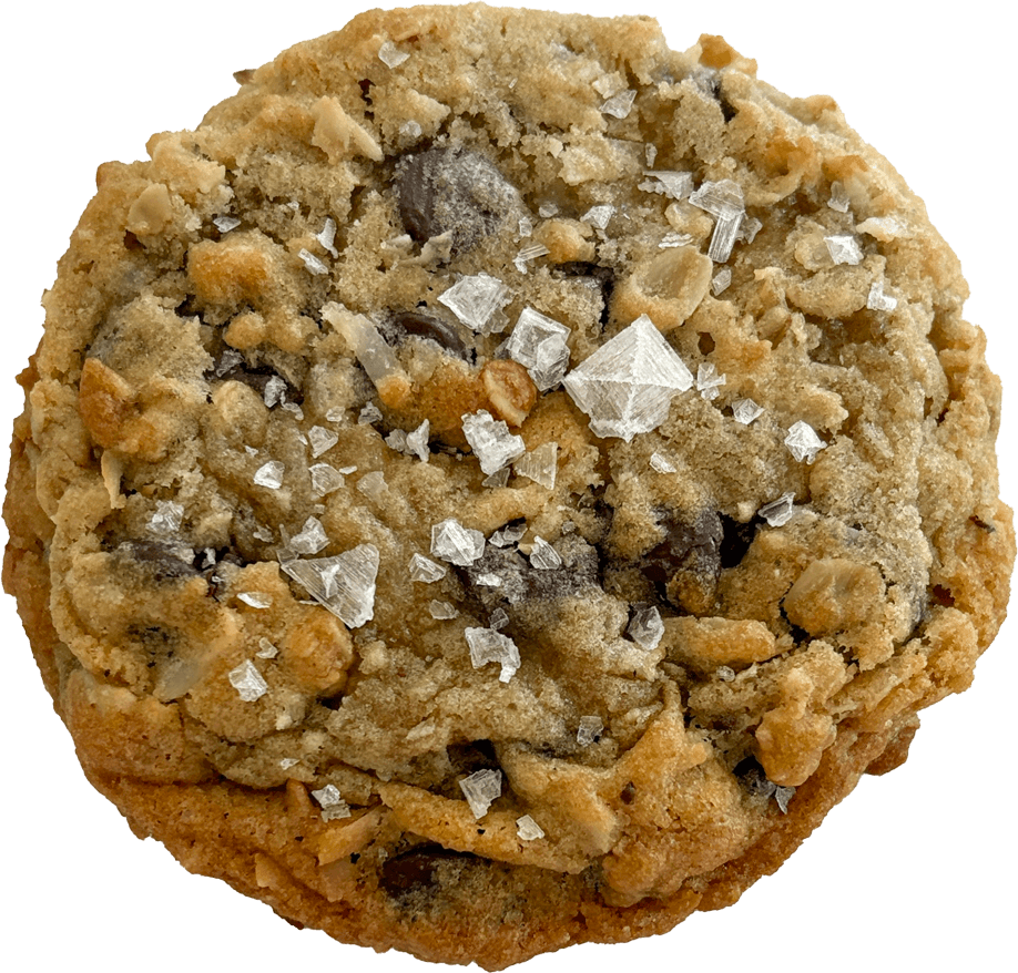 Coconut Oat Chocolate Chip Cookie